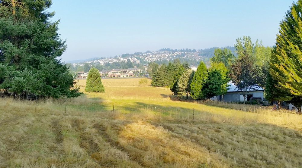 Land Development Opportunity: 17444 SE Vogel Rd, Damascus, OR 97089